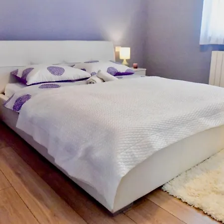 Ground Floor With Spacious Backyard 3* Pula