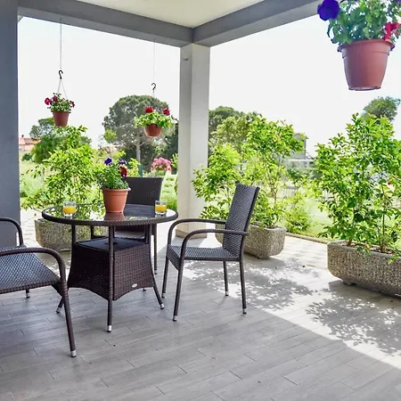 Ground Floor With Spacious Backyard Gasthuis 3*