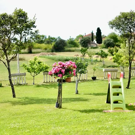Ground Floor With Spacious Backyard 3*