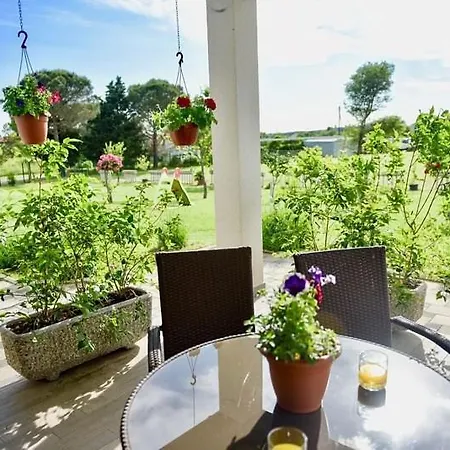 Ground Floor With Spacious Backyard Pula