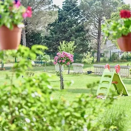 Ground Floor With Spacious Backyard 3* Pula