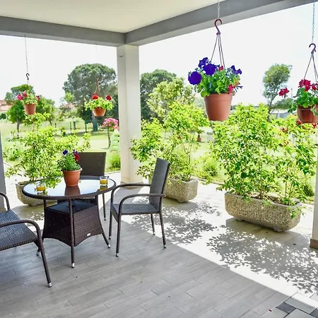 Ground Floor With Spacious Backyard 3*